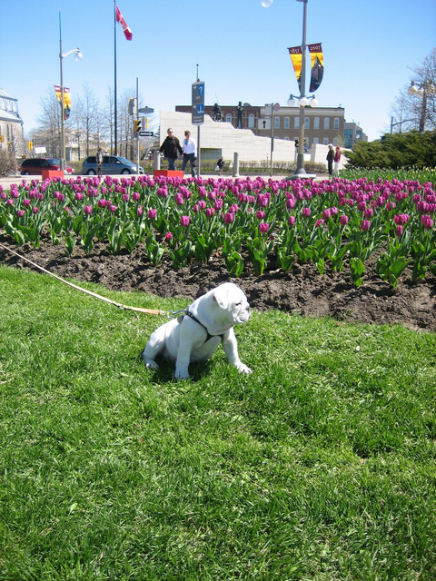 IMG_0231.JPG