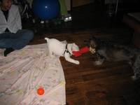 Highlight for Album: 2007-05-11 - Penny and Oscar