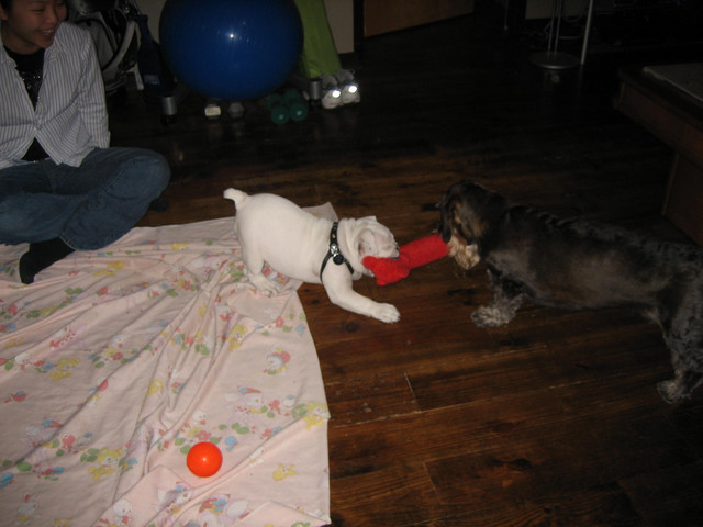 IMG_0264.JPG