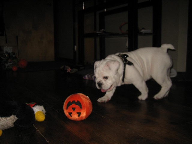 IMG_0318.JPG