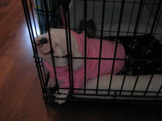taking a nap