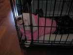 taking a nap