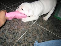 Highlight for Album: 2007-04-18 - Enjoying her Holey Soles