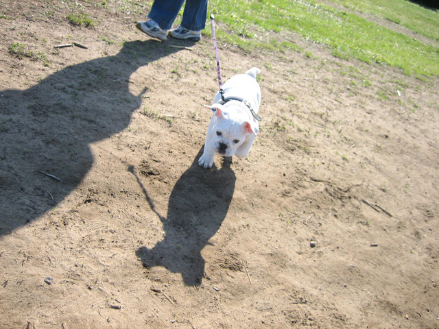 IMG_0403.JPG