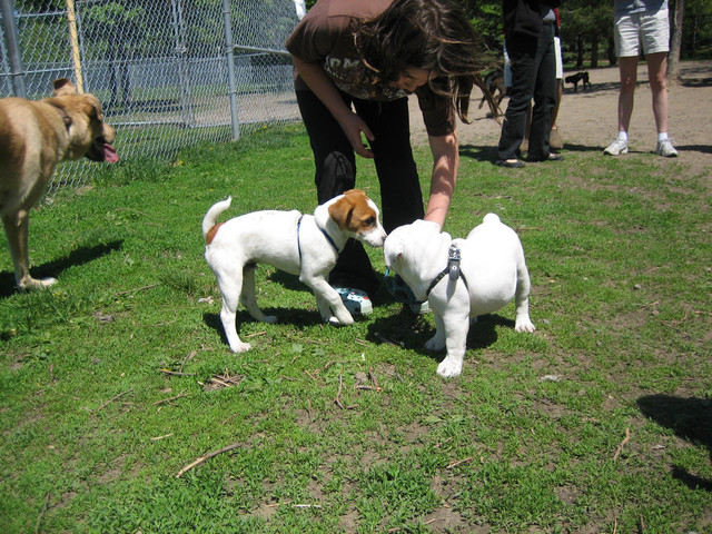 IMG_0414.JPG