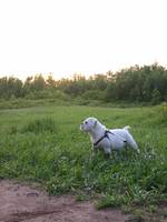 Highlight for Album: 2007-06-07 - Conroy Pit