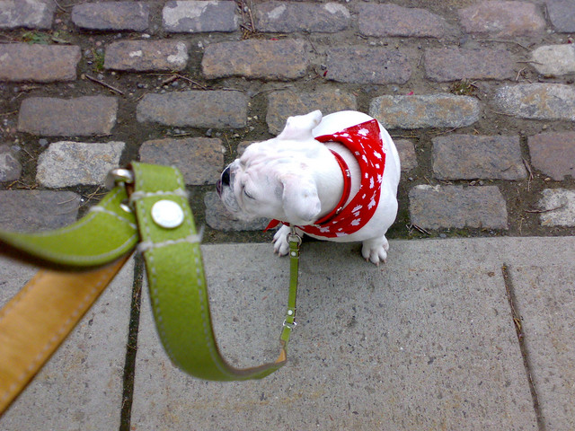 cameraphone-02.jpg
