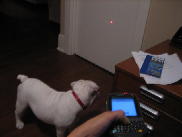 worlds most expensive laser pointer?