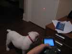 worlds most expensive laser pointer?