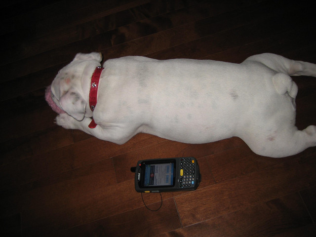 size comparison