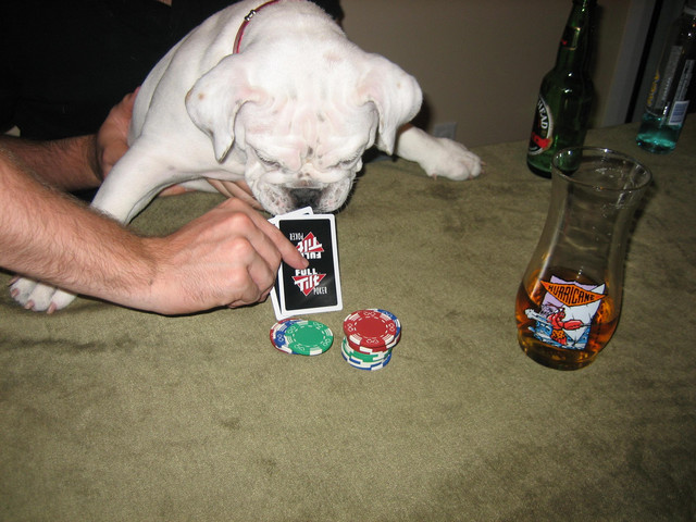 checking the hole cards