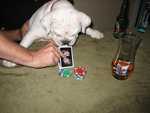 checking the hole cards