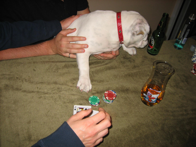 where's my beer? (also learned from my dad)