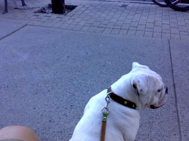 20070815093.jpg