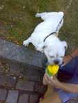 20070815097.jpg