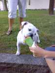 20070815100.jpg