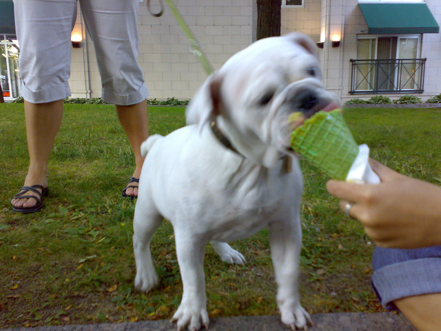 20070815101.jpg