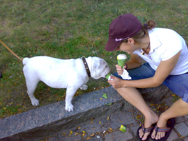 20070815102.jpg
