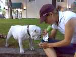 20070815103.jpg