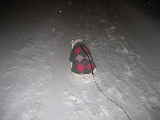 IMG_0041.JPG