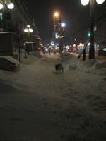 Highlight for Album: 2007-12-03 - Snow Day (Part 2)