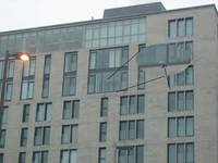 Highlight for Album: 2007-12-09 - Penny and Bella in the condo
