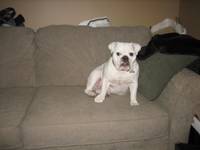 Highlight for Album: 2008-02-17 - Penny's First Birthday!