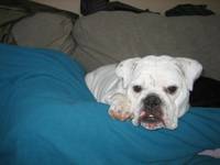 Highlight for Album: 2008-04-05 - Lounging Around