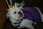princess penelope