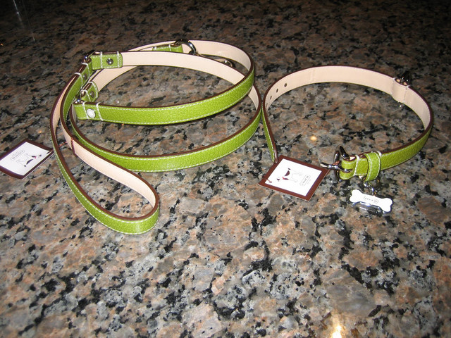 penny's coach collar and leash.