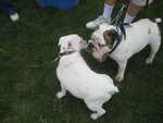 IMG 0571