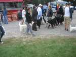 IMG 0605